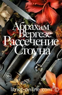 Читайте книги онлайн бесплатно на LitNet 📚💻 Новые и популярные произведения в одном месте