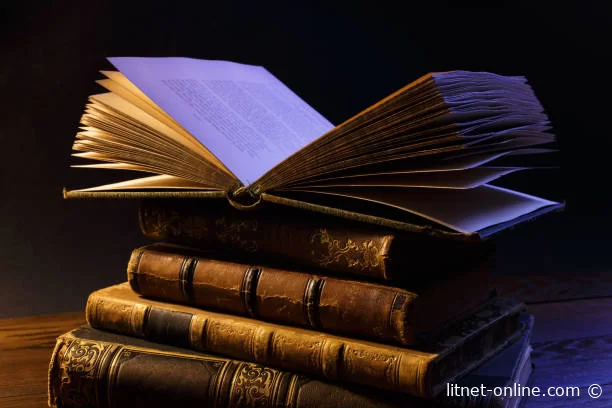 Читайте книги онлайн бесплатно на LitNet 📚💻 Новые и популярные произведения в одном месте