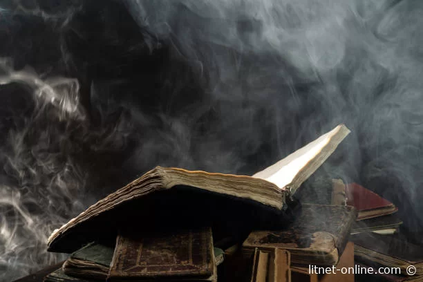 Читайте книги онлайн бесплатно на LitNet 📚💻 Новые и популярные произведения в одном месте