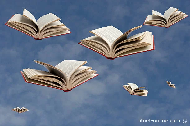 Читайте книги онлайн бесплатно на LitNet 📚💻 Новые и популярные произведения в одном месте