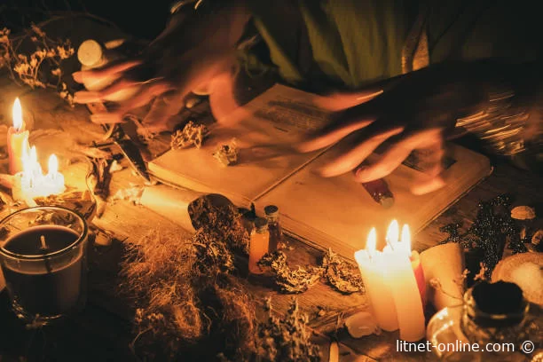 Читайте книги онлайн бесплатно на LitNet 📚💻 Новые и популярные произведения в одном месте